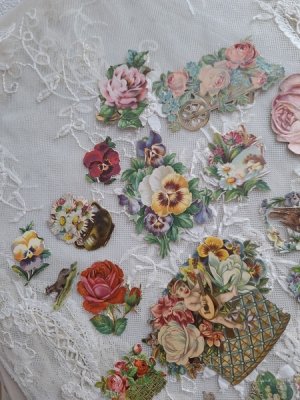 画像11: クロモスセット