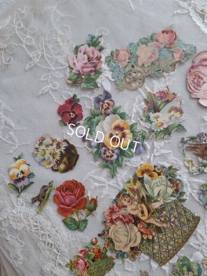 画像11: クロモスセット