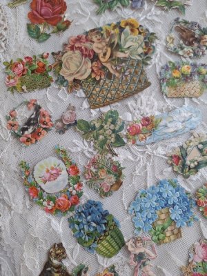 画像12: クロモスセット