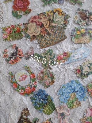 画像12: クロモスセット