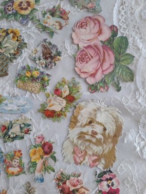 画像13: クロモスセット