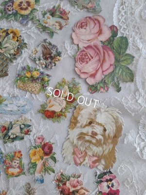 画像13: クロモスセット