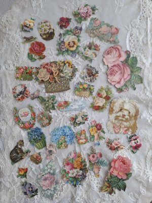 画像9: クロモスセット