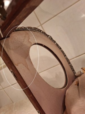 画像11: ガラスケース