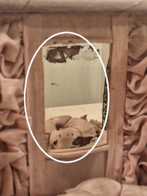 画像17: ガラスケース