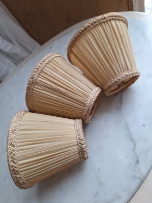 画像20: ガラスケース