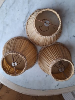 画像26: ガラスケース