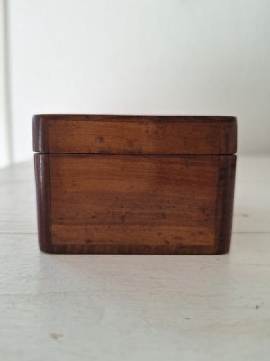 画像7: モシュリンヌボックス付レース