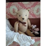 画像: フレンチテディべア