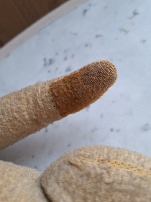 画像9: フレンチテディべア