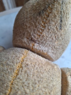 画像12: フレンチテディべア