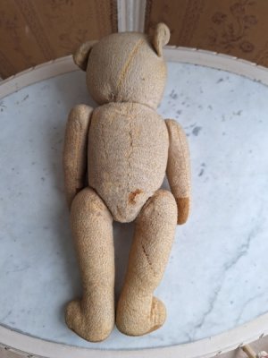 画像14: フレンチテディべア