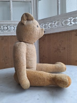 画像17: フレンチテディべア