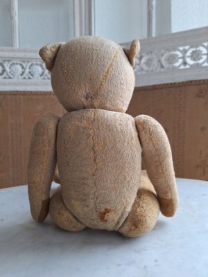 画像18: フレンチテディべア