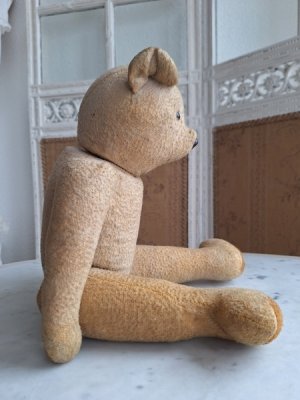 画像7: フレンチテディべア