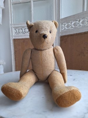 画像5: フレンチテディべア