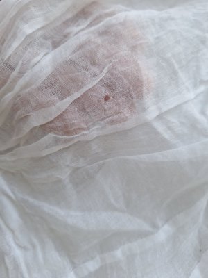 画像14: アンティークコットンブラウス