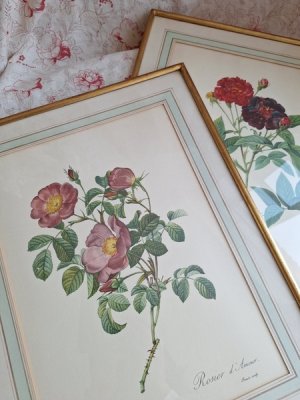 PierreJosephRedouté 