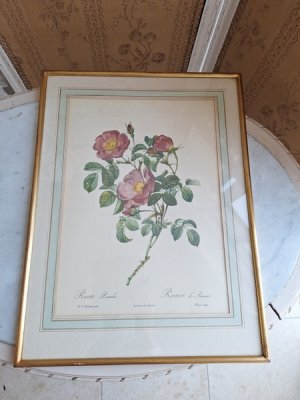 画像10: ルドゥーテローズ画セット