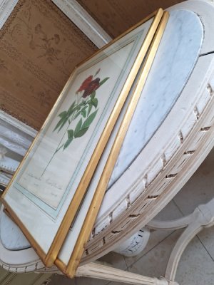 画像19: ルドゥーテローズ画セット