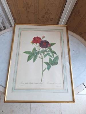 画像2: ルドゥーテローズ画セット