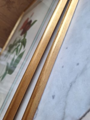 画像20: ルドゥーテローズ画セット