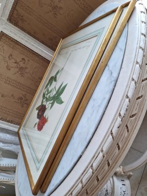 画像22: ルドゥーテローズ画セット