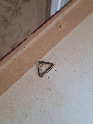 画像8: ルドゥーテローズ画セット