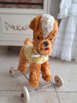 画像1: 車輪付きワンちゃん