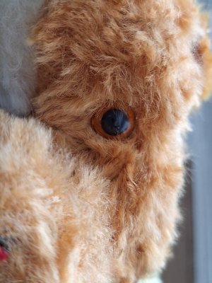 画像5: 車輪付きワンちゃん