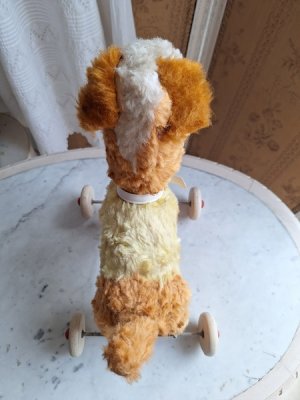 画像6: 車輪付きワンちゃん