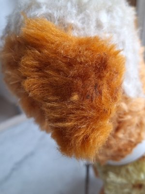 画像9: 車輪付きワンちゃん