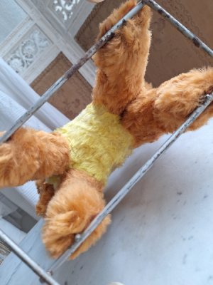 画像10: 車輪付きワンちゃん