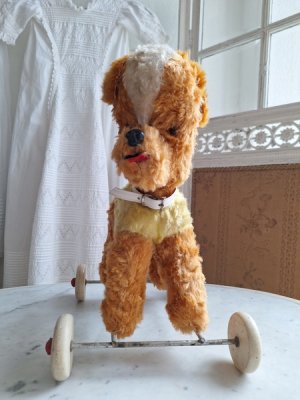 画像11: 車輪付きワンちゃん