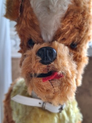 画像12: 車輪付きワンちゃん