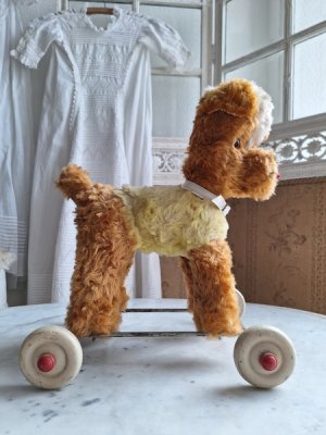 画像13: 車輪付きワンちゃん