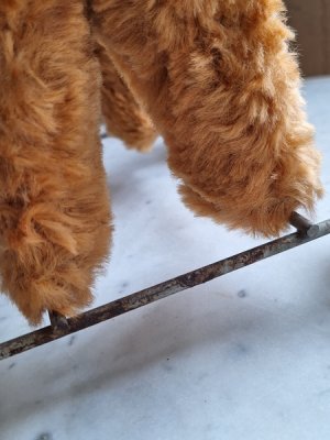 画像16: 車輪付きワンちゃん