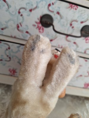 画像3: フランスのワンちゃん