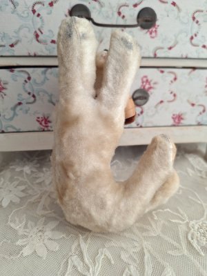 画像4: フランスのワンちゃん