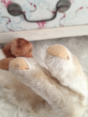 画像5: フランスのワンちゃん