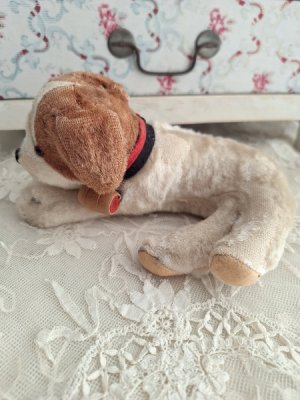 画像8: フランスのワンちゃん