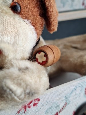 画像13: フランスのワンちゃん