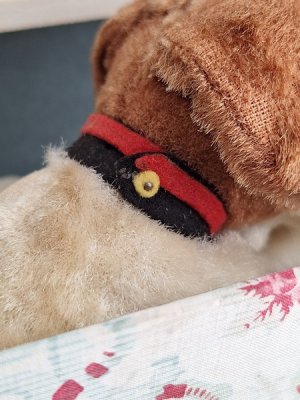 画像14: フランスのワンちゃん