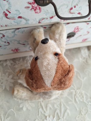 画像16: フランスのワンちゃん