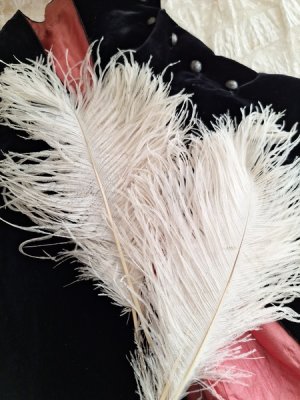 whitefeathers