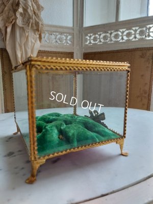 画像9: アンティークマリアージュガラスケース（ワックスフラワー）