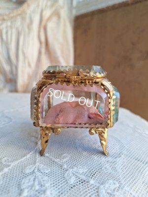 画像12: アンティークガラスジュエリーケース