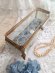 Antiqueglasscase