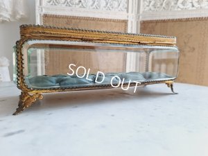 画像23: アンティーククッション付ガラスケース