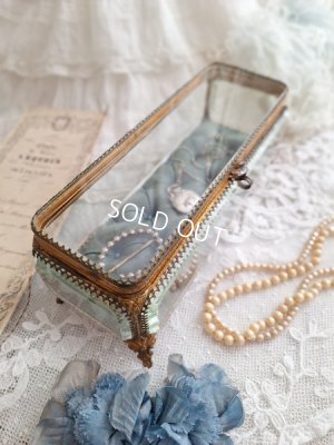 画像22: アンティーククッション付ガラスケース